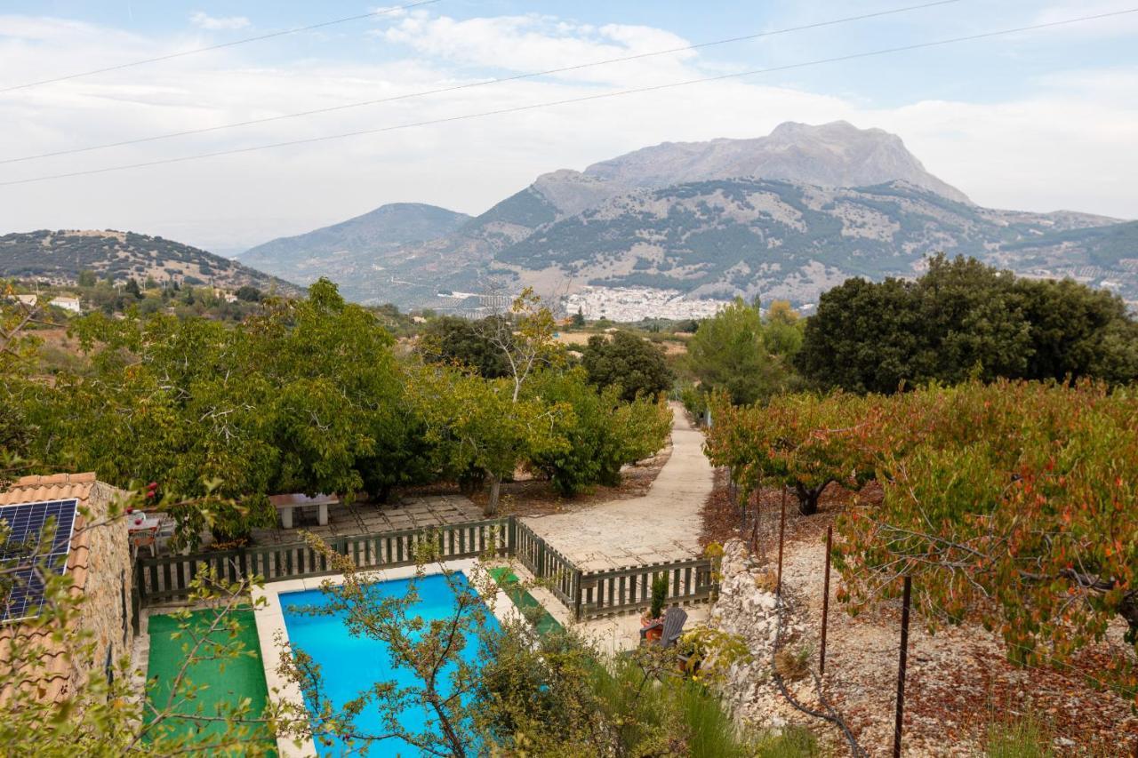 Casa Jurinea Guest House Torres  Екстериор снимка