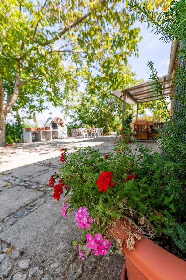 Casa Jurinea Guest House Torres  Екстериор снимка
